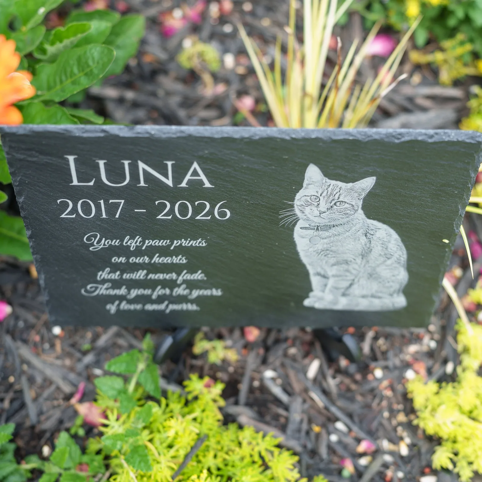 Pets Memorial Slates - Shoreline Laser